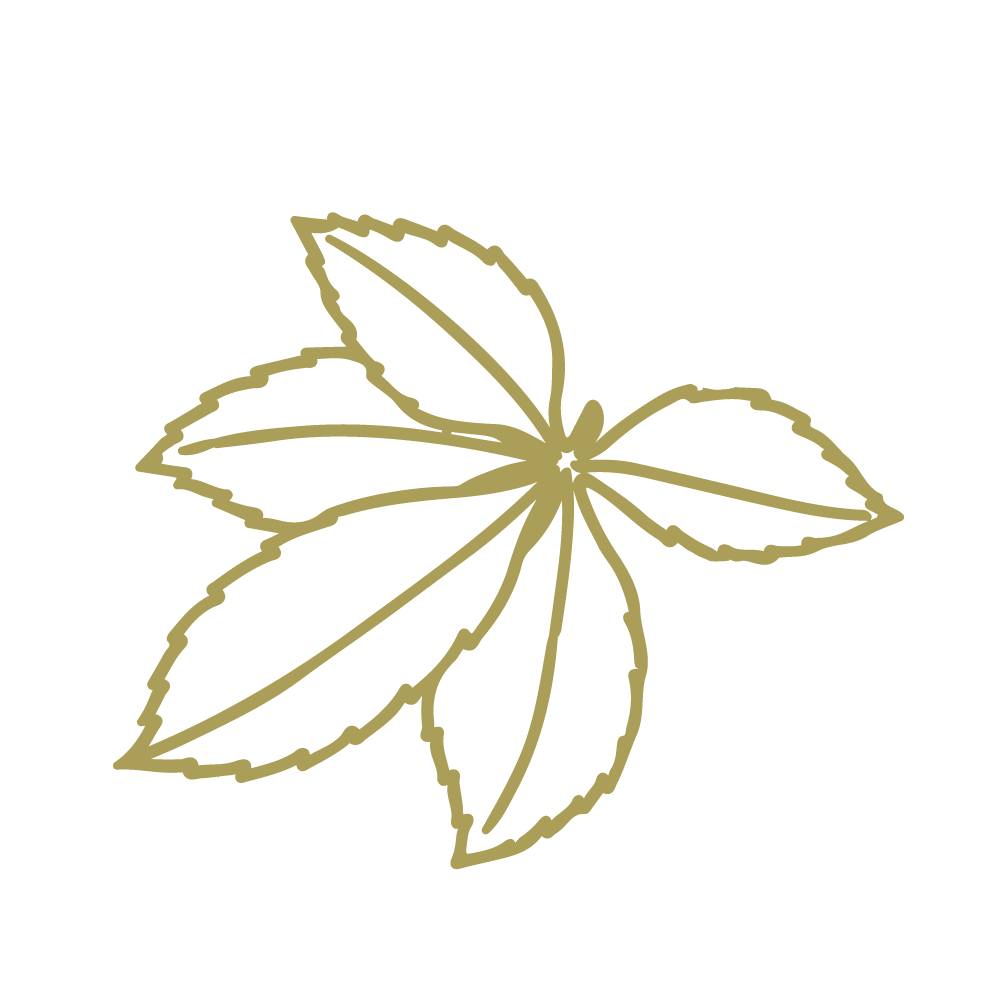 Petites-garrigues-picto_vigne-vert-clair