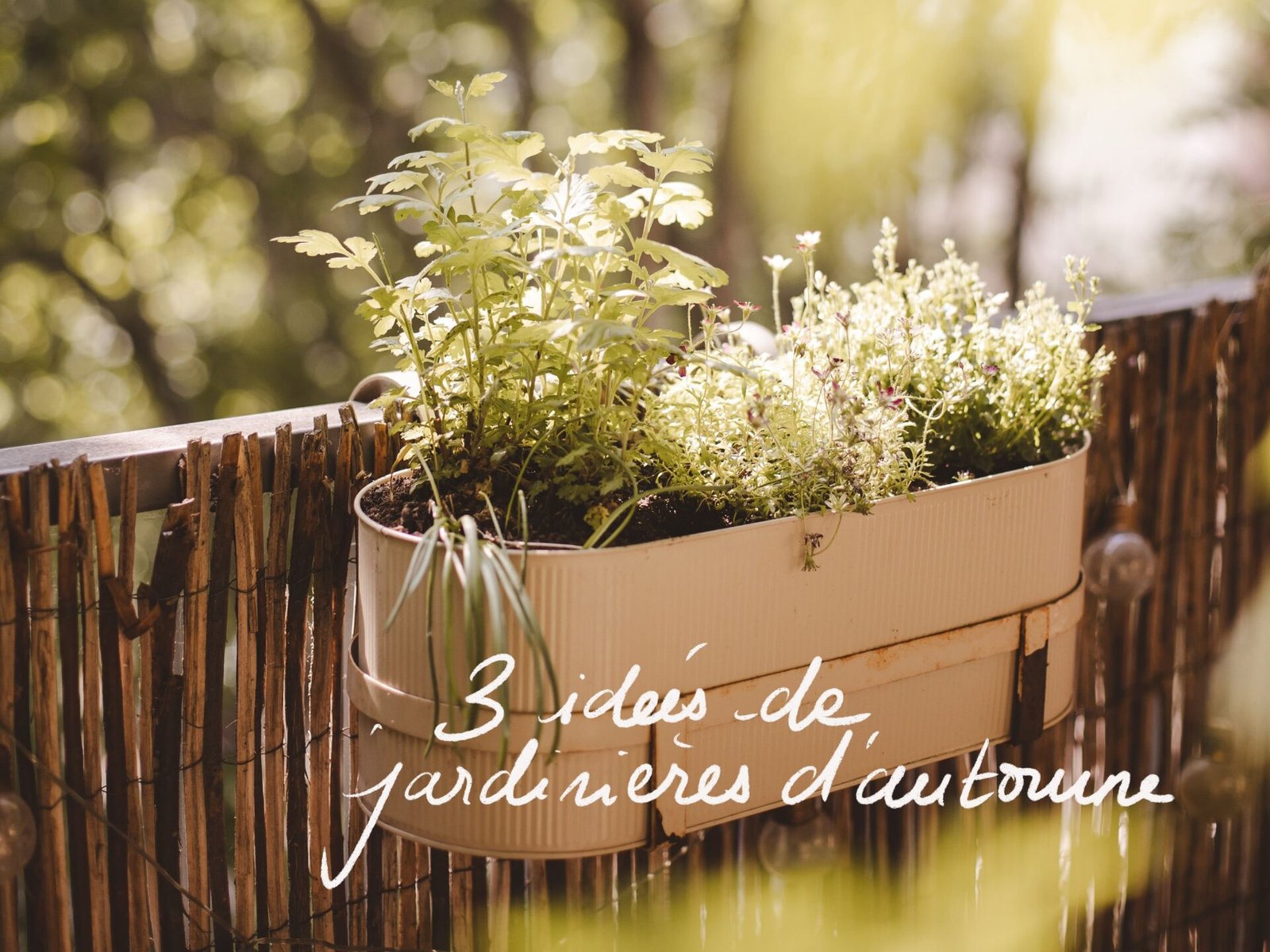 3 idées de jardinières d&rsquo;automne stylées pour décorer votre extérieur