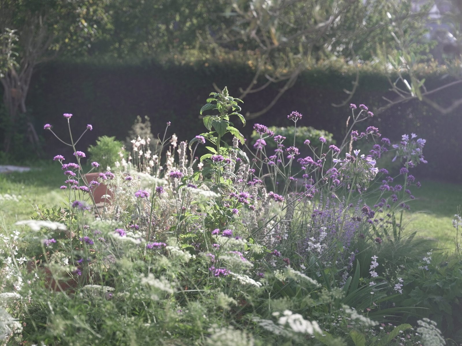 5 activités autour du jardin pour prolonger les vacances