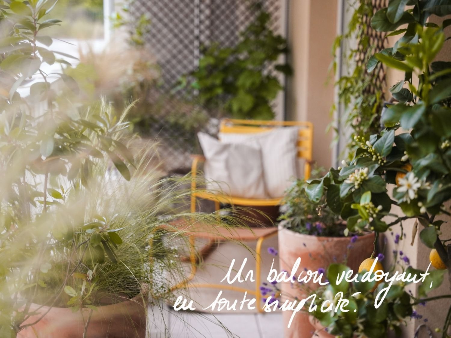 Balcon et jardinage : 3 astuces pour se simplifier la vie